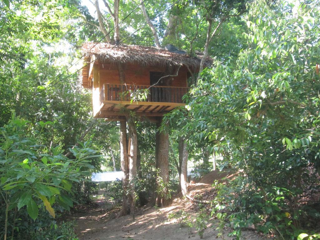 מידיגמה איסט Abberny Villa מראה חיצוני תמונה